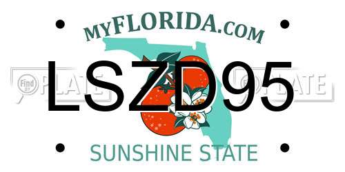 LSZD95 Florida License Plate
