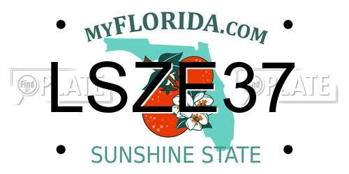 LSZE37 Florida License Plate