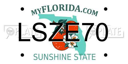 LSZE70 Florida License Plate