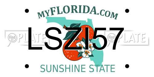 LSZI57 Florida License Plate
