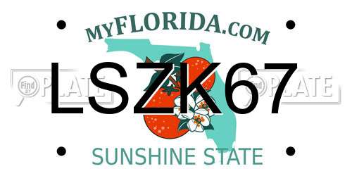 LSZK67 Florida License Plate