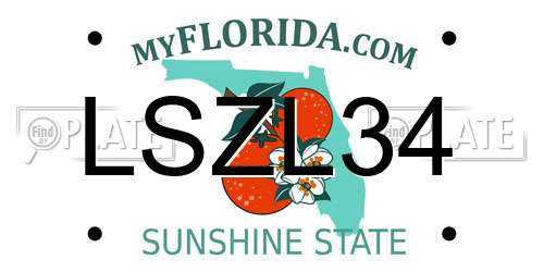 LSZL34 Florida License Plate