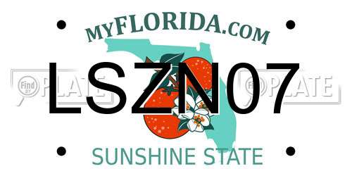 LSZN07 Florida License Plate