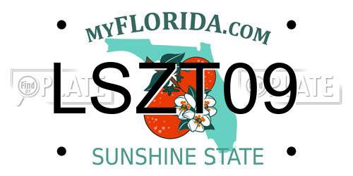 LSZT09 Florida License Plate