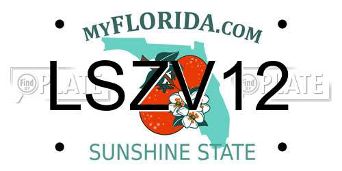 LSZV12 Florida License Plate