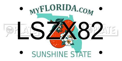 LSZX82 Florida License Plate