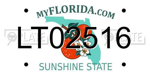 LT02516 Florida License Plate