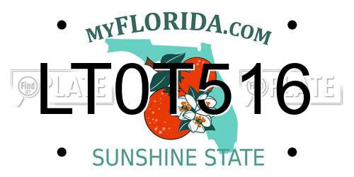 LT0T516 Florida License Plate