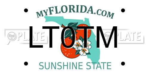 LT0TM Florida License Plate
