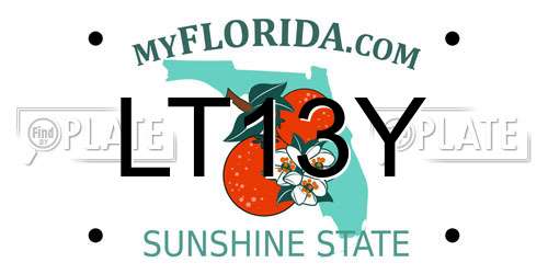 LT13Y Florida License Plate