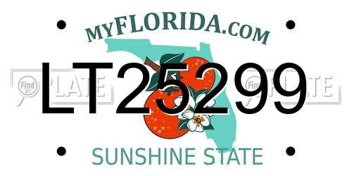 LT25299 Florida License Plate
