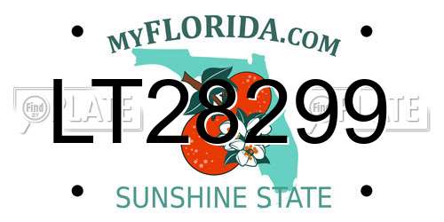 LT28299 Florida License Plate