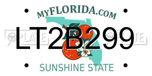 LT2B299 Florida License Plate
