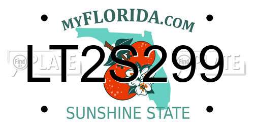 LT2S299 Florida License Plate