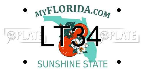 LT34 Florida License Plate