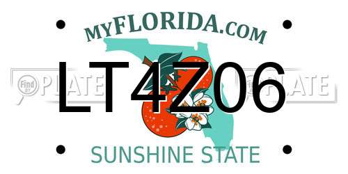 LT4Z06 Florida License Plate