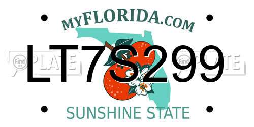 LT7S299 Florida License Plate