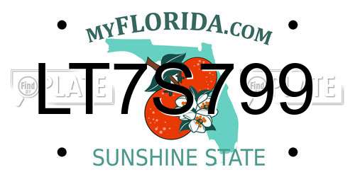 LT7S799 Florida License Plate