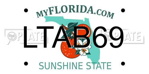 LTAB69 Florida License Plate