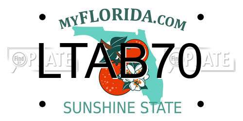 LTAB70 Florida License Plate