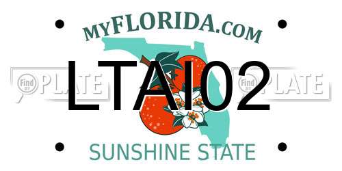 LTAI02 Florida License Plate