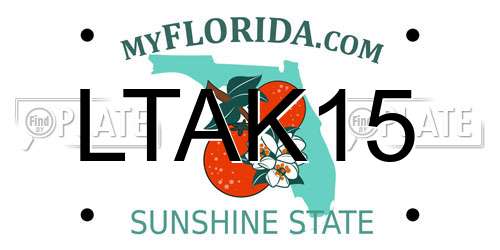 LTAK15 Florida License Plate