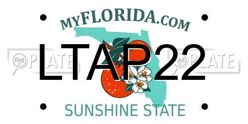 LTAP22 Florida License Plate