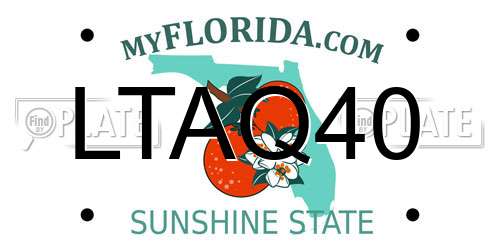 LTAQ40 Florida License Plate