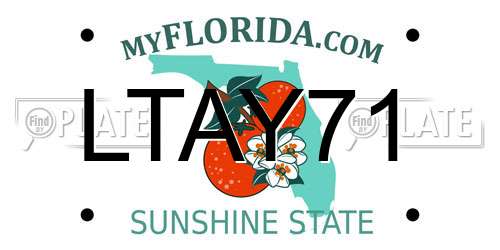 LTAY71 Florida License Plate