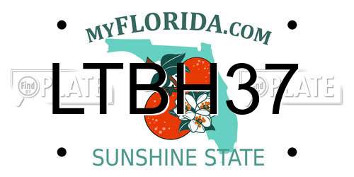 LTBH37 Florida License Plate