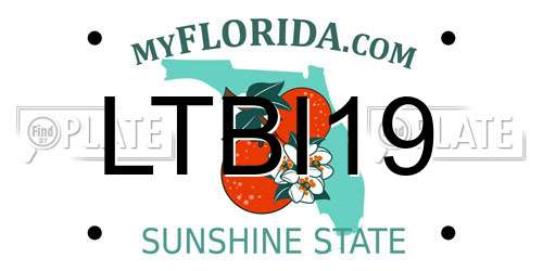LTBI19 Florida License Plate