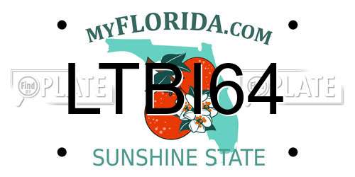 LTBI64 Florida License Plate