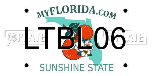 LTBL06 Florida License Plate