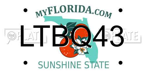 LTBQ43 Florida License Plate