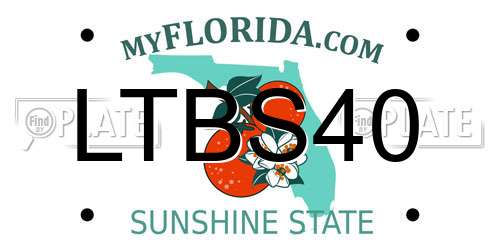 LTBS40 Florida License Plate