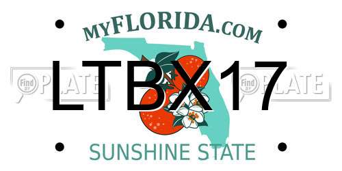 LTBX17 Florida License Plate