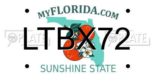LTBX72 Florida License Plate