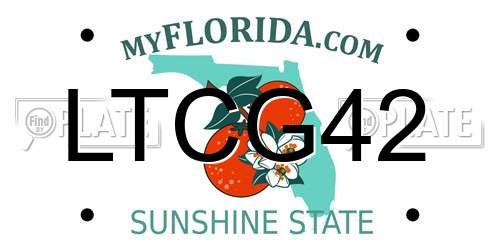LTCG42 Florida License Plate