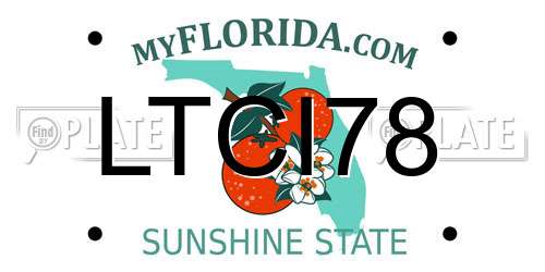 LTCI78 Florida License Plate