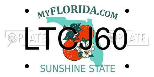 LTCJ60 Florida License Plate