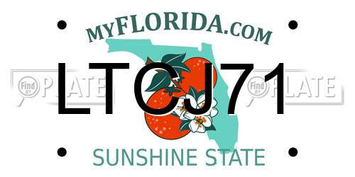 LTCJ71 Florida License Plate