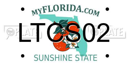 LTCS02 Florida License Plate