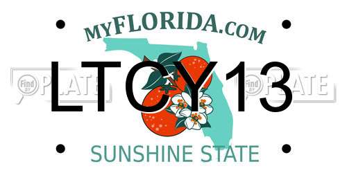 LTCY13 Florida License Plate