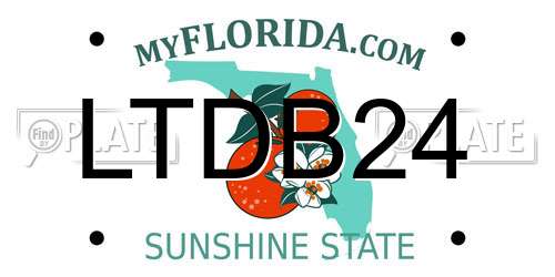 LTDB24 Florida License Plate