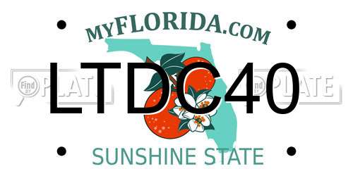 LTDC40 Florida License Plate