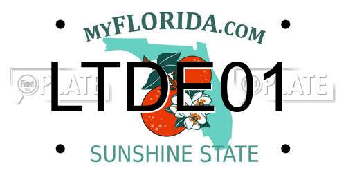 LTDE01 Florida License Plate
