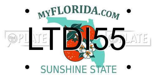 LTDI55 Florida License Plate