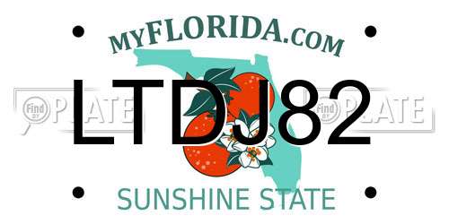 LTDJ82 Florida License Plate