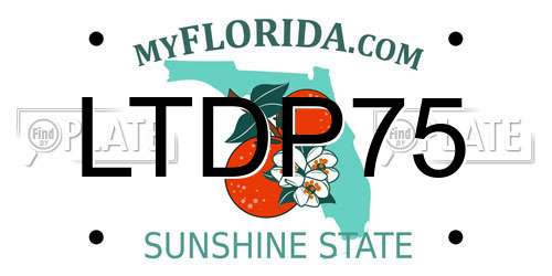 LTDP75 Florida License Plate