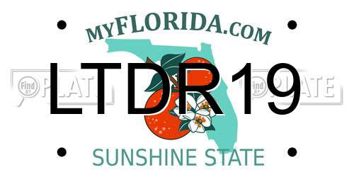 LTDR19 Florida License Plate